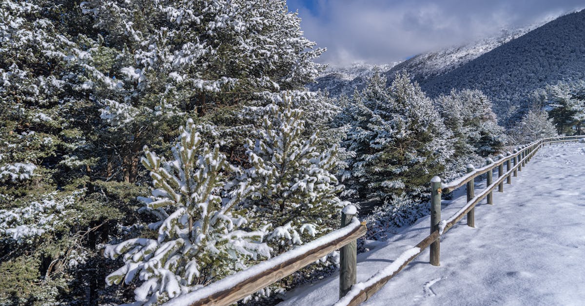 If you're moving to Andorra, here's how to manage your money