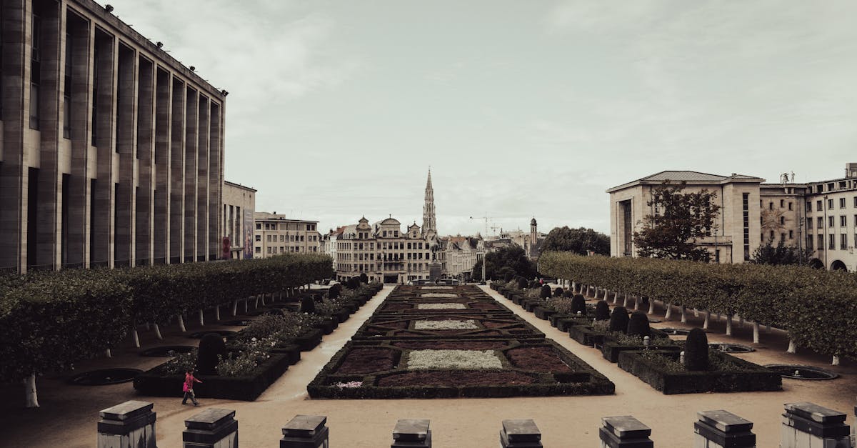 If you're moving to Belgium, here's how to manage your money