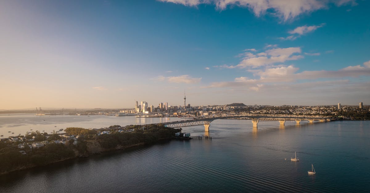 New Zealand banking for expats: accounts, transfers, and digital options