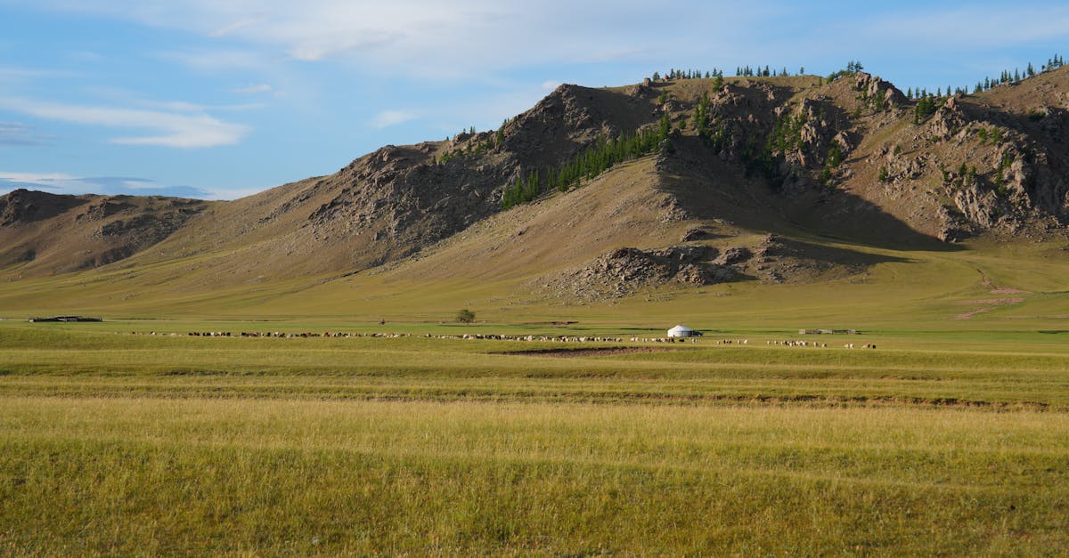 Mongolia cost of living: what expats actually spend
