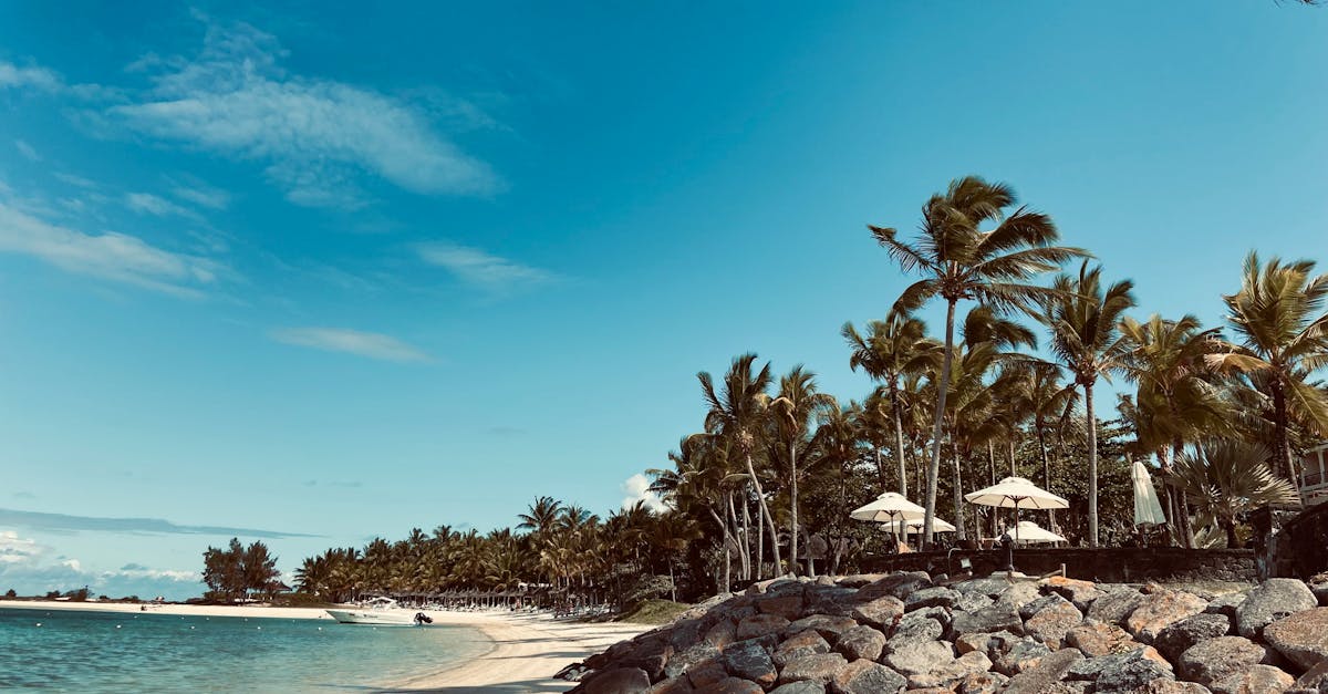 Is Mauritius a good destination for digital nomads?