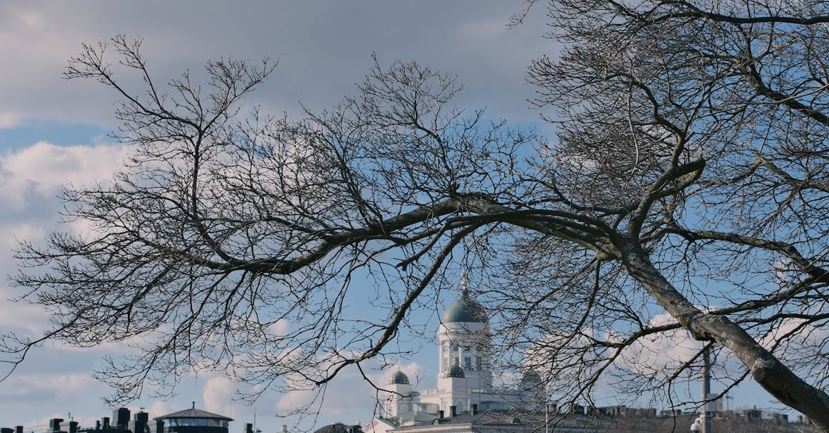 How good is healthcare in Finland?