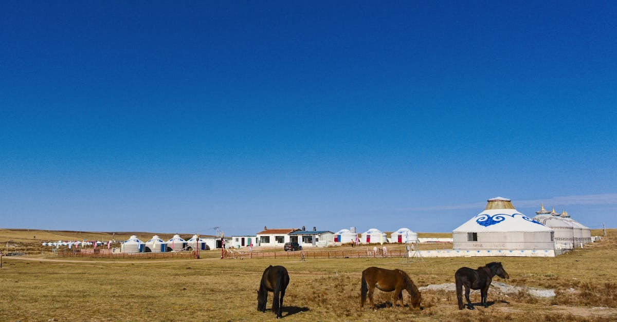 Mongolia healthcare: costs, quality, and insurance options