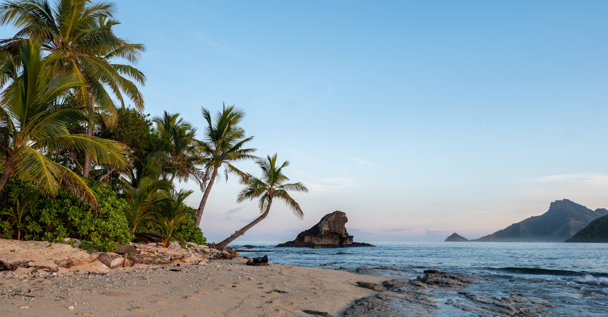 How to navigate Fiji's tax system as an expat