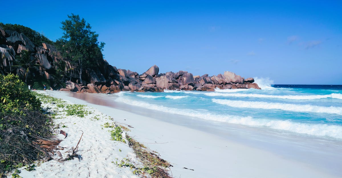 What taxes do expats pay in Seychelles?