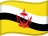 Brunei flag