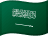 Saudi Arabia flag